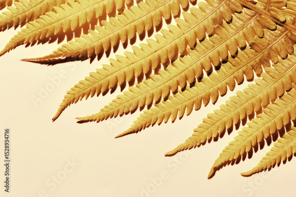 Obraz Close-Up of Golden Fern Leaves, autumn textured background, copy space, natural beauty pattern, minimal botanical view, scenic gold leaf at sunlight with shadow, nature geometric lines and shapes