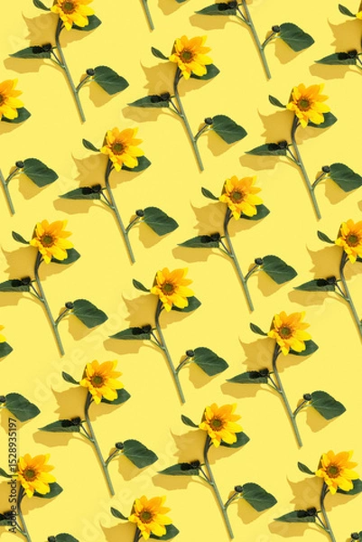Obraz Floral still life with blossoming sunflowers on yellow background, Summer geometric non-seamless pattern of delicate blooms, sunlight shadow. Flowery botanical design, trend ornament vivid color