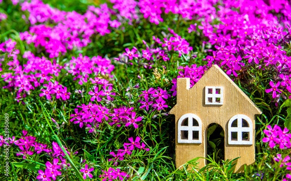 Fototapeta The symbol of the house on the background of purple flowers
