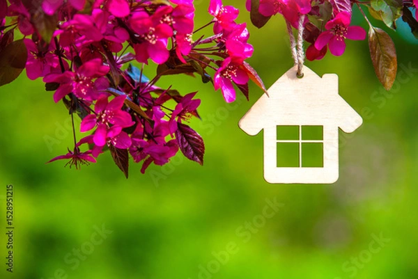 Fototapeta Symbol of the house on the branches of a flowering decorative apple tree
