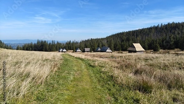 Fototapeta Idyllic Mountain Cabins