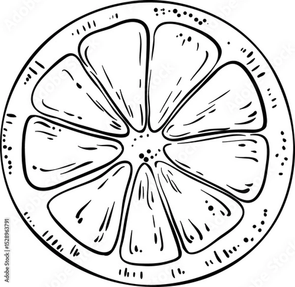 Obraz Orange Fruit Outline Illustration
