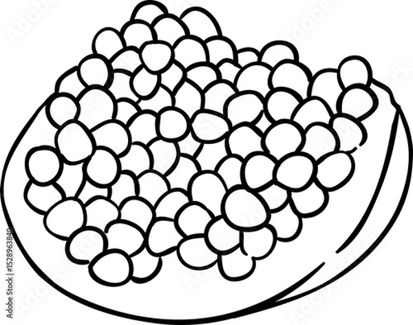 Obraz Pomegranate Fruit Outline Illustration
