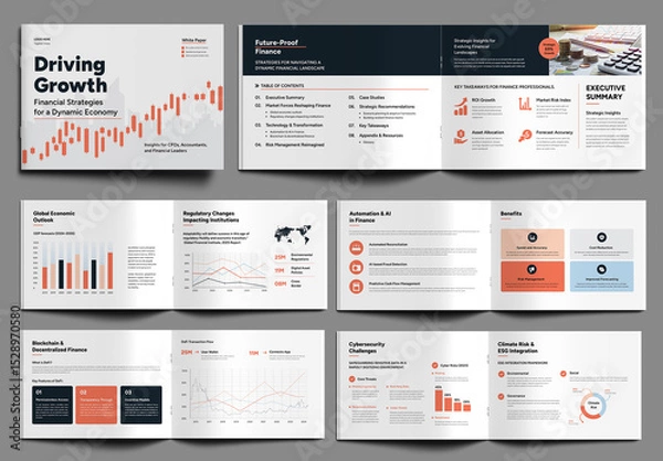 Obraz White Paper for Finance Professionals