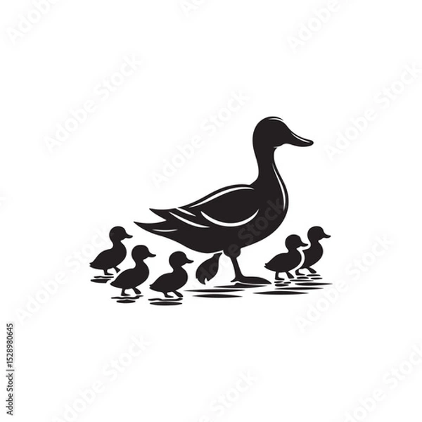 Fototapeta duck and ducklings