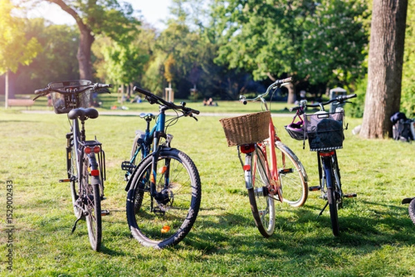 Fototapeta Four bicycles stand on green grass in a sunny park, each equipped with a basket or bag. Bright light and scattered shadows suggest a relaxed afternoon gathering or casual group outing