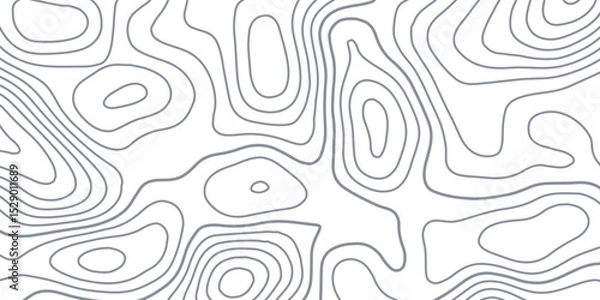 Fototapeta White wave paper curved reliefs abstract background, Abstract topographic contours map background, Topography map background. Vector geographic contour map.