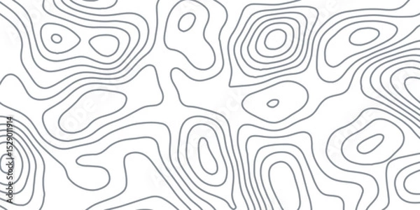 Obraz White wave paper curved reliefs abstract background, Abstract topographic contours map background, Topography map background. Vector geographic contour map.
