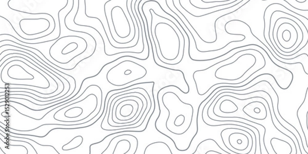 Fototapeta White wave paper curved reliefs abstract background, Abstract topographic contours map background, Topography map background. Vector geographic contour map.