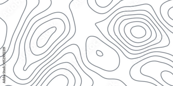 Obraz White wave paper curved reliefs abstract background, Abstract topographic contours map background, Topography map background. Vector geographic contour map.