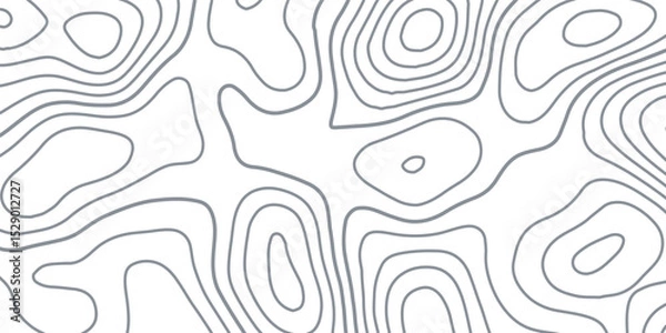 Obraz White wave paper curved reliefs abstract background, Abstract topographic contours map background, Topography map background. Vector geographic contour map.
