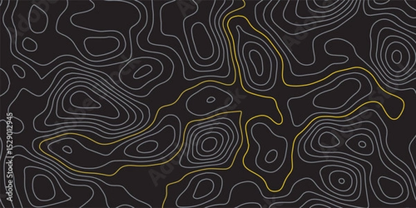Obraz Luxury gold and grey abstract line art background vector. Mountain topographic terrain map background with gold lines texture. Design illustration for wall art, fabric, packaging, banner, wallpaper.