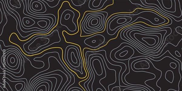 Obraz Luxury gold and grey abstract line art background vector. Mountain topographic terrain map background with gold lines texture. Design illustration for wall art, fabric, packaging, banner, wallpaper.