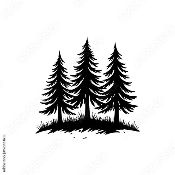 Fototapeta Simple Silhouette Illustration of Three Evergreen Trees in a Forest Setting