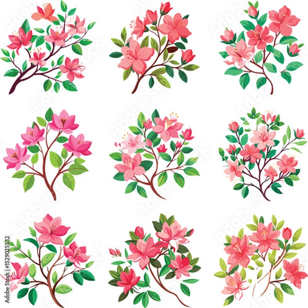 Obraz Pink azalea flower branches illustrations