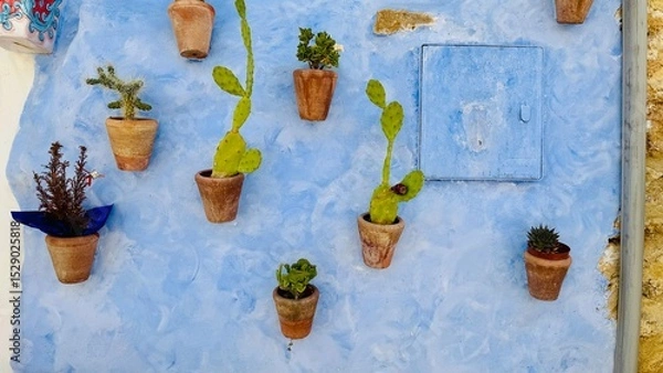 Fototapeta Cactus in a pot on blue facade of elevation on building. House with blue wall with flowers and decoration. Outdoor architecture in Greece. 