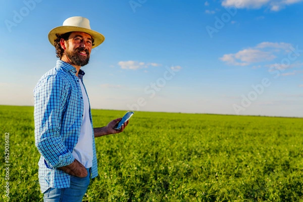 Fototapeta Happy farmer holding smartphone in pea field, enjoying modern technology for agriculture management and crop monitoring on a sunny day with blue sky