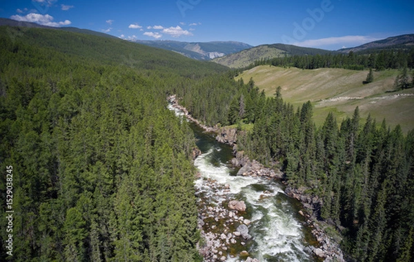 Fototapeta Altai river Chulyshman with coastal rocks and siberian larch taiga forest.