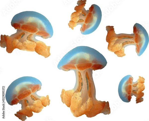 Obraz clown jellyfish in the sea1