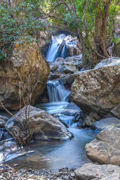 Fototapeta Mountain stream green forest at spring time
