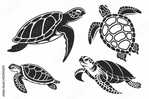 Fototapeta turtle on the water