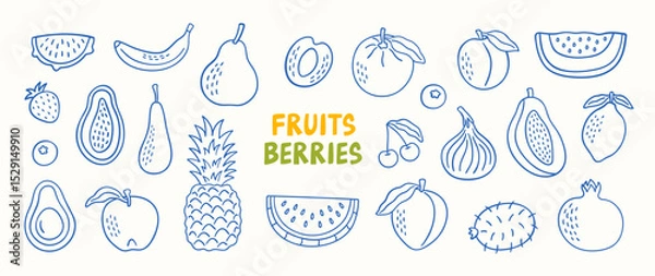 Obraz Doodle set of fruits and berries. Vector illustration. 