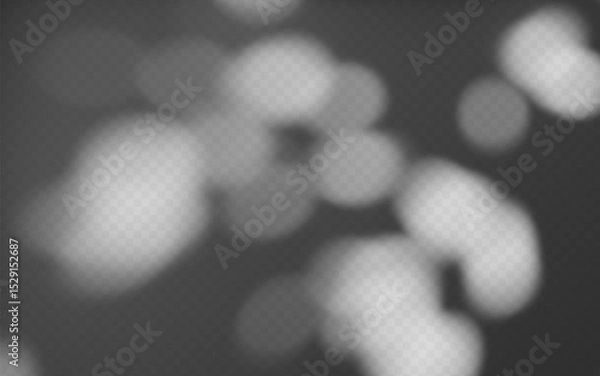 Fototapeta Abstract shadow overlay from foliage on a transparent background.