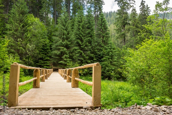 Fototapeta wooden bridge stretching into the depths of the coniferous forest. path over stream in summer. outdoor adventure. scenery in synevyr national park on a cloudy day