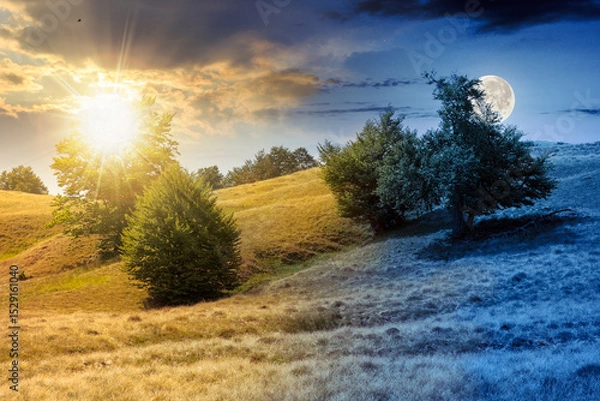 Fototapeta beech forest on the grassy hill. day and night time change concept. alpine scenery with trees in lush leaves. primeval woods under sky with sun and moon at twilight