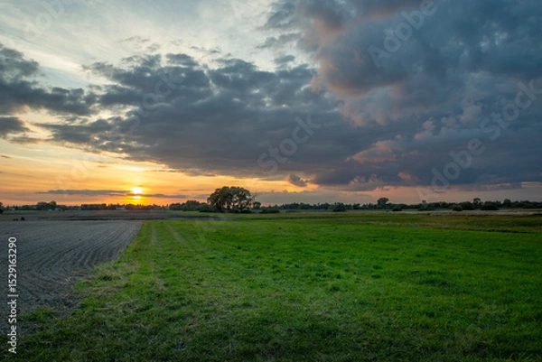 Fototapeta Evening clouds from sunset over the meadow next to the field