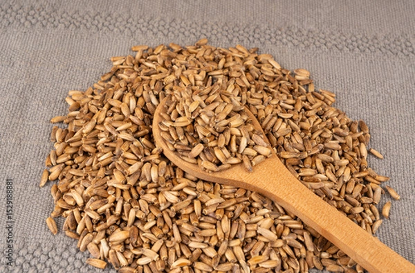 Obraz Milk thistle seeds, silybum marianum grains, dry blessed milkthistle fruits, variegated thistle kernels