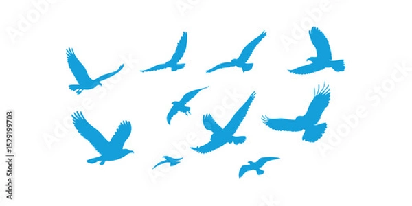 Obraz Vector silhouettes of eagles, doves and pigeons in one set. Versatile minimalist style for design projects themed on nature, freedom, love or strong spiritual symbolism.