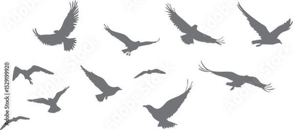 Obraz Vector silhouettes of doves and pigeons in various poses: flying, perched, and carrying branches. Symbols of peace and affection, ideal for invitations, logos, or digital artwork.