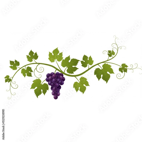 Obraz Elegant Grapevine Branch Design perfect for Wine Labels Logos and Branding Projects featuring lush green leaves and ripe purple grapes ideal for sophisticated designs.