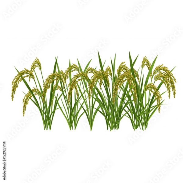 Obraz Lush Rice Paddy Stalks Graphic Design Element Perfect for Agriculture Branding Logos and Nature Themes