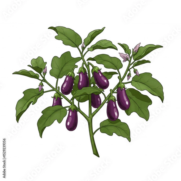 Obraz A vibrant eggplant plant brimming with ripe purple fruits and lush green leaves ideal for farm fresh food branding logos and botanical designs
