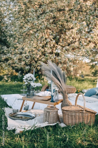 Fototapeta Elegant picnic setup under blooming trees in a serene outdoor location during springtime