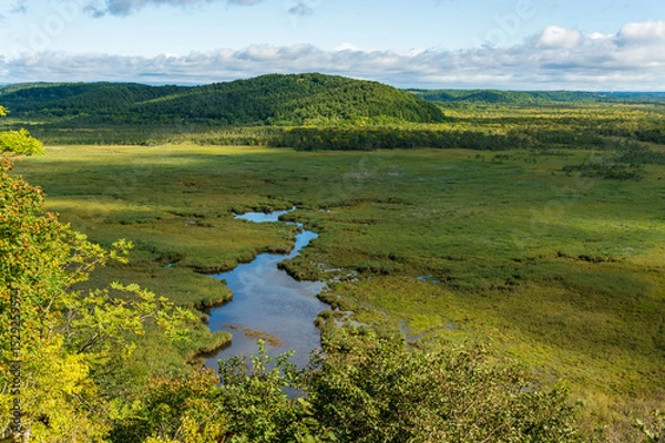 Obraz 釧路湿原。コッタロ湿原展望台。日本最大の湿原・湿地。面積は約2万6000haで、このうち中心部の7863haがラムサール条約登録湿地。