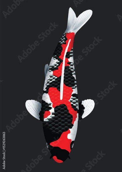 Obraz black and white koi fish
