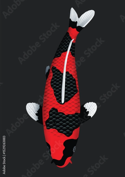 Obraz black and white koi fish