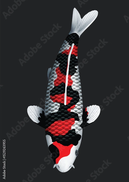 Obraz black and white koifish