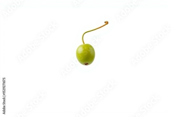 Obraz Single caper berry with stem against white background