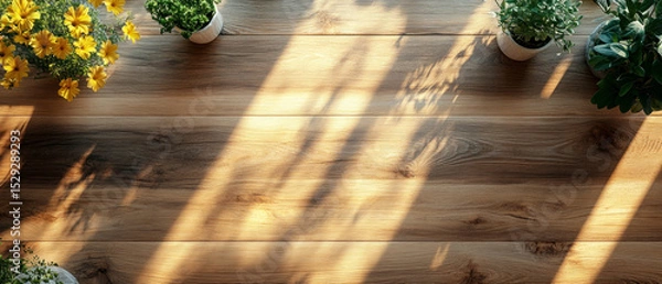 Obraz Table made of wood with potted plants with sunlight falling on it. Useful for articles about home interior and comfort.