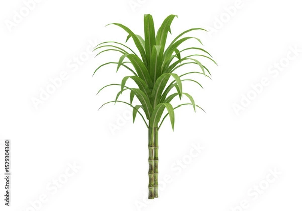 Fototapeta Lush green plant with vibrant leaves, set against a simple background, ideal for nature themes
