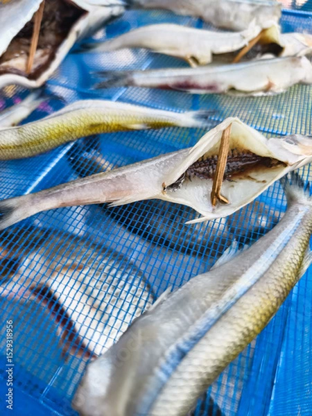 Obraz smelt Dried fish displayed on a blue net in a coastal market showcasing traditional preservation methods