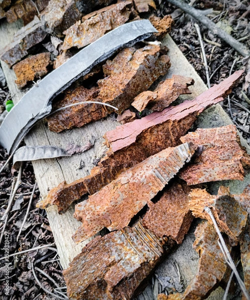 Fototapeta there are many different rusty fragments from shells and mines