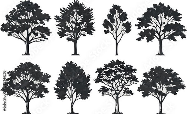 Fototapeta Collection of stylized silhouette trees in various shapes and detailed leaf structures