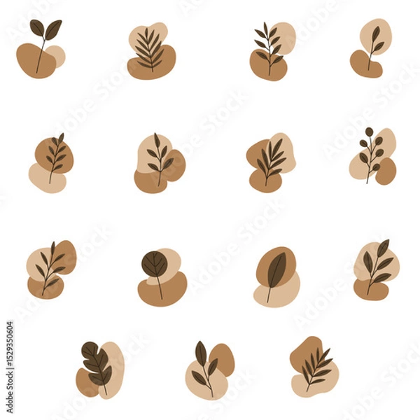 Obraz Aesthetic Plant Collection with Organic Shapes - Minimalist Botanical Elements