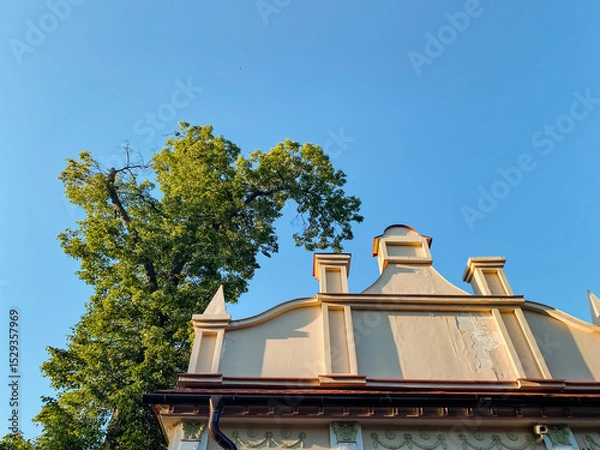 Obraz As I gaze upwards at the roof of the historic building, I can see a beautiful tree in the background, creating a delightful contrast to the architecture that features a stunning finial