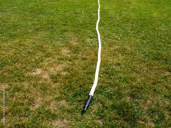 Fototapeta A white rope is laying on the grass